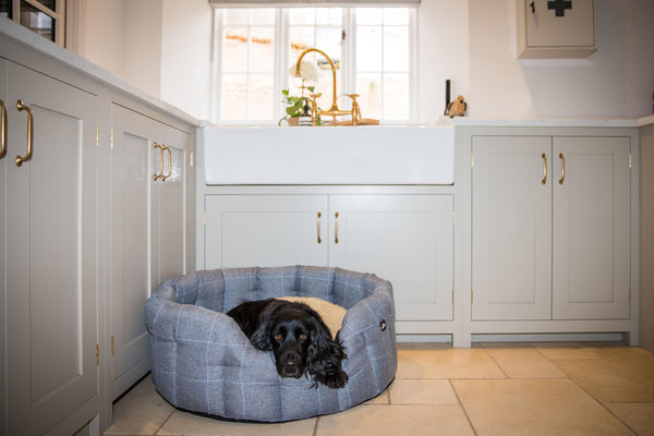 Round high clearance sided dog beds